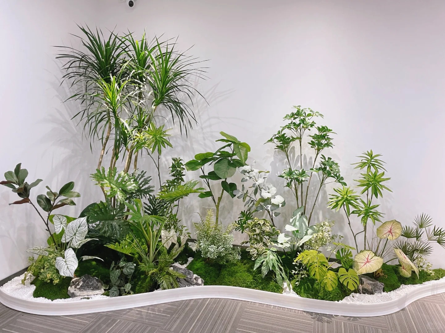 专业盆景租摆哪家强?宁波镇海有答案!